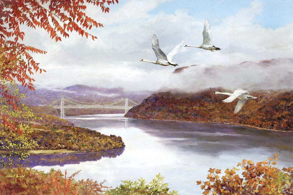 Mute Swans Over Bear Mountain Bridge by John F. Gould, 1985 — on display at the New York State Museum